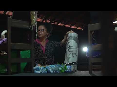 A Luta das Cores — vídeo