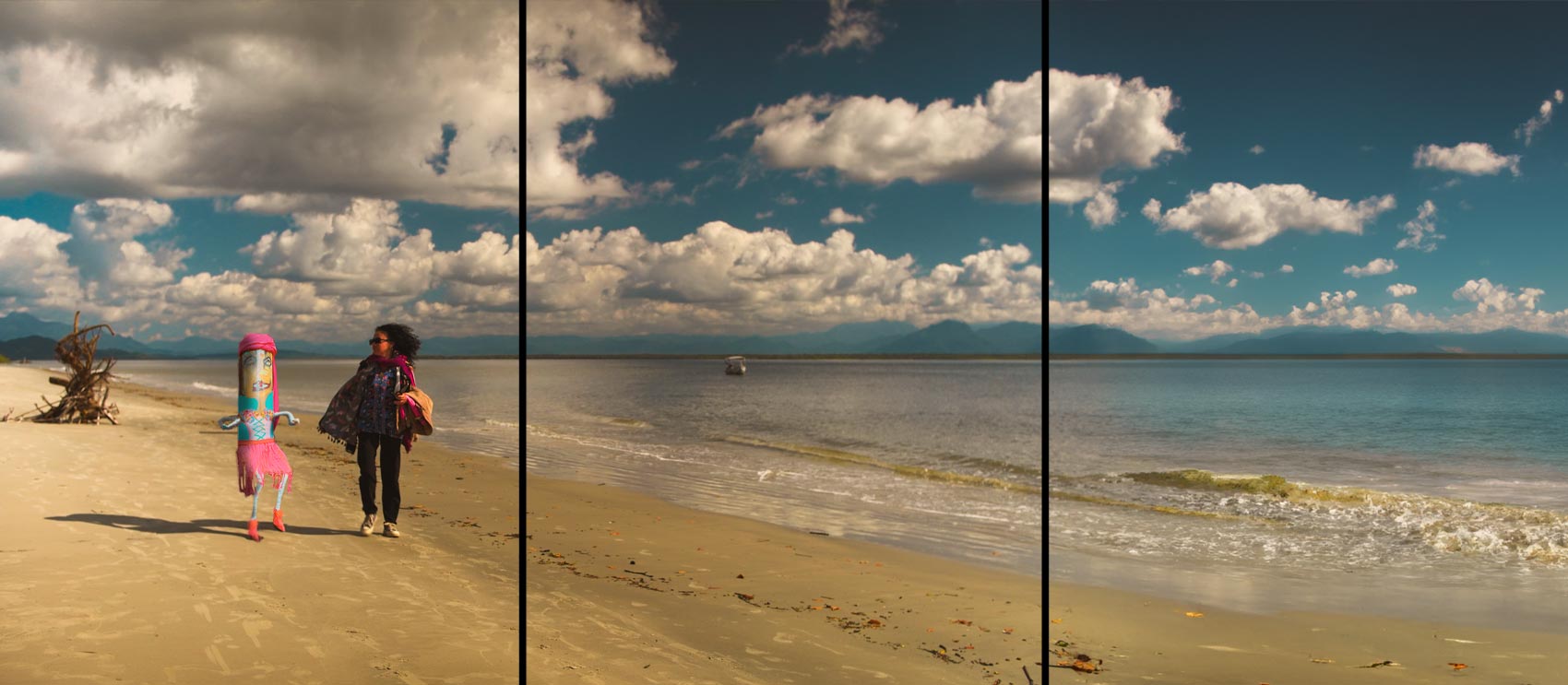 Ilha do Cardoso